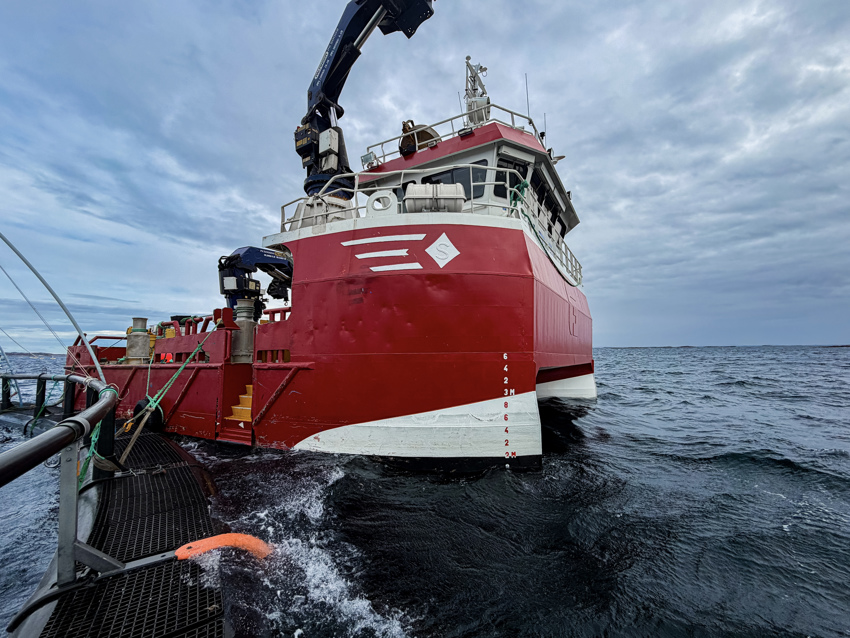 Servicefartøy ved merde