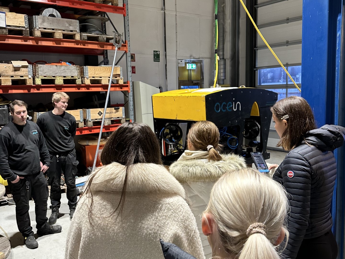 Havfruer på besøk hos Abyss