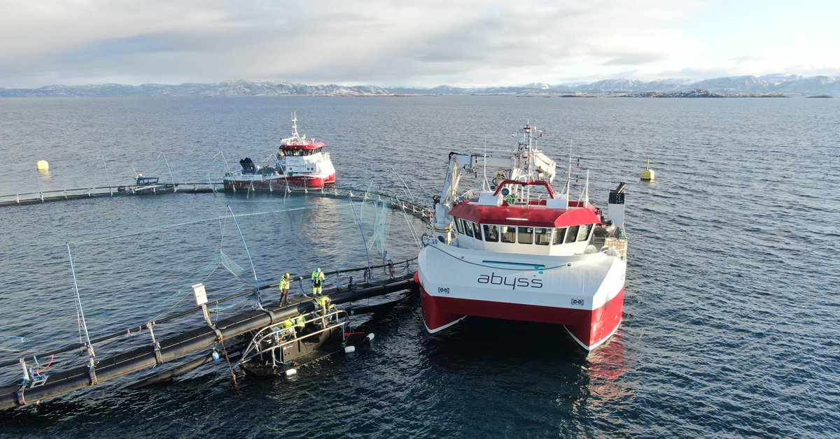 Norges største innen brakklegging