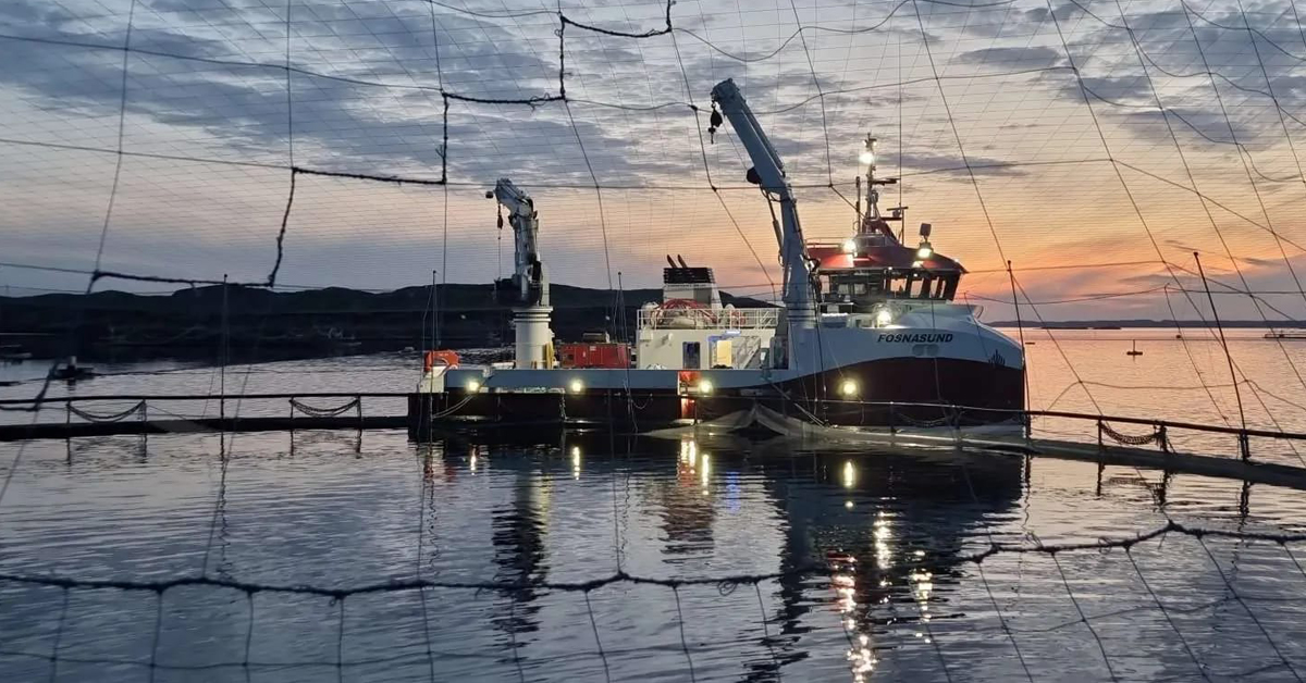 Slik jobber vi for sikrere kranarbeid hos Abyss