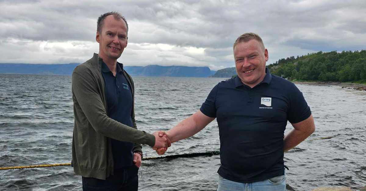 Abyss styrker tilstedeværelsen i Nord-Norge